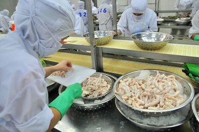 海产品加工企业如何选择污水处理站？三大关键影响因素解析